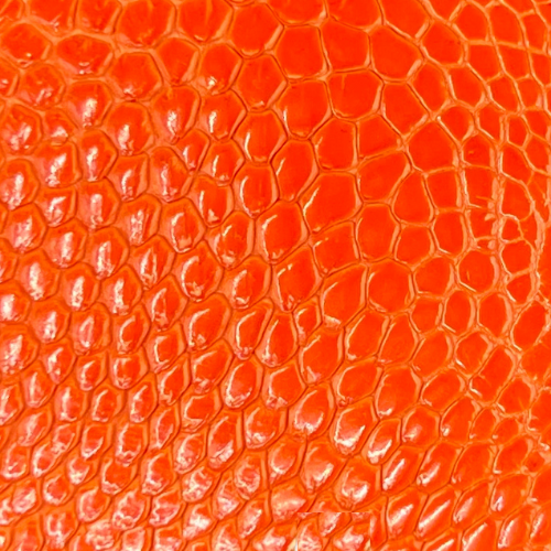 Ostrich Leg Leather Tangerine
